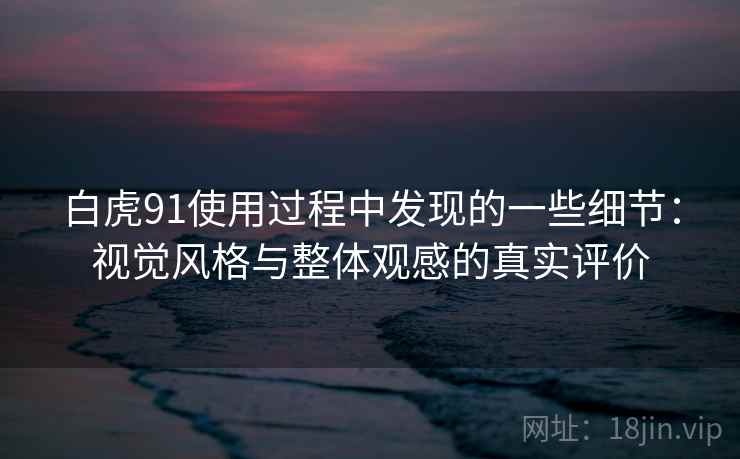 白虎91使用过程中发现的一些细节：视觉风格与整体观感的真实评价