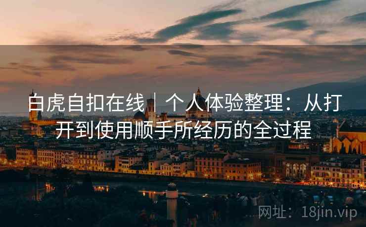白虎自扣在线｜个人体验整理：从打开到使用顺手所经历的全过程