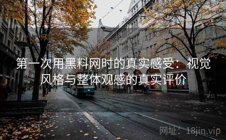 第一次用黑料网时的真实感受:视觉风格与整体观感的真实评价