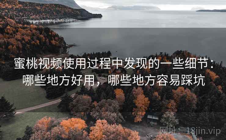 蜜桃视频使用过程中发现的一些细节:哪些地方好用,哪些地方容易踩坑