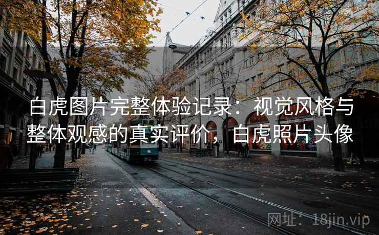 白虎图片完整体验记录:视觉风格与整体观感的真实评价,白虎照片头像