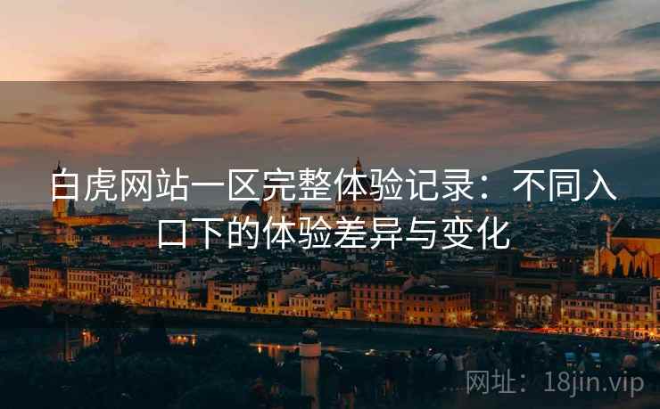 白虎网站一区完整体验记录:不同入口下的体验差异与变化
