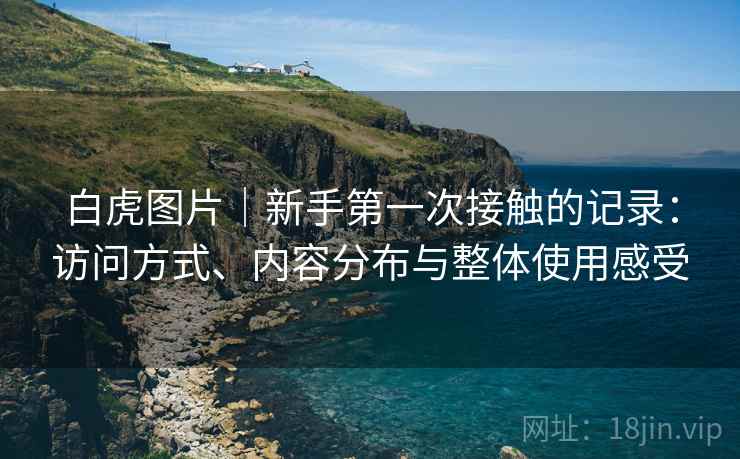 白虎图片|新手第一次接触的记录:访问方式、内容分布与整体使用感受