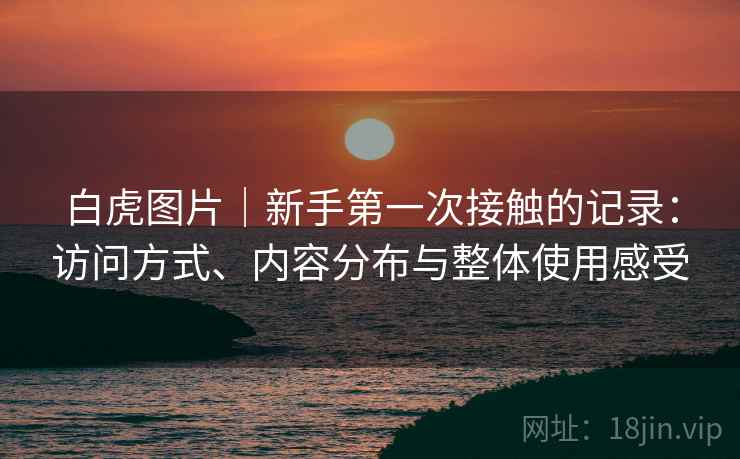 白虎图片｜新手第一次接触的记录：访问方式、内容分布与整体使用感受