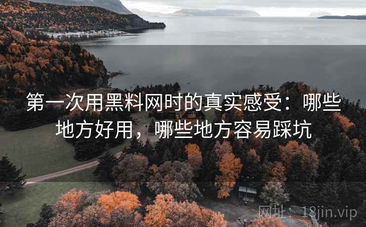 第一次用黑料网时的真实感受：哪些地方好用，哪些地方容易踩坑