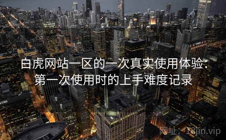 白虎网站一区的一次真实使用体验:第一次使用时的上手难度记录