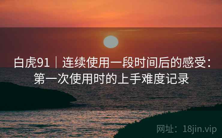 白虎91｜连续使用一段时间后的感受：第一次使用时的上手难度记录