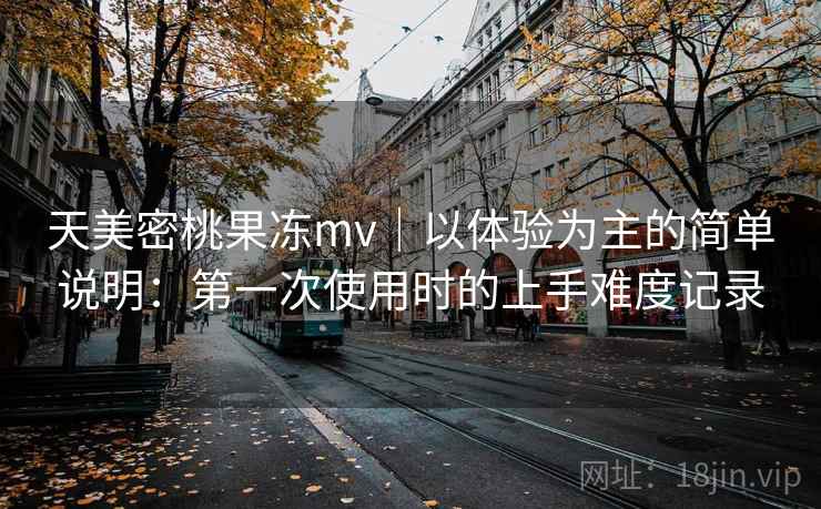 天美密桃果冻mv｜以体验为主的简单说明：第一次使用时的上手难度记录
