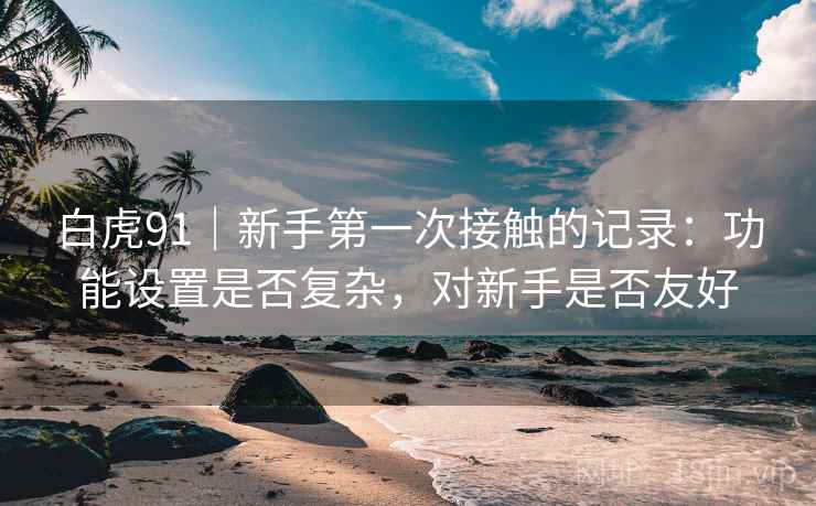 白虎91｜新手第一次接触的记录：功能设置是否复杂，对新手是否友好