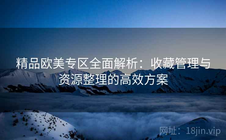 精品欧美专区全面解析:收藏管理与资源整理的高效方案