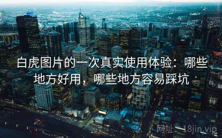 白虎图片的一次真实使用体验:哪些地方好用,哪些地方容易踩坑