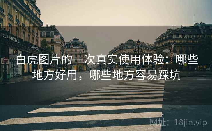 白虎图片的一次真实使用体验：哪些地方好用，哪些地方容易踩坑